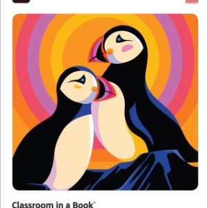 Adobe Illustrator Classroom in a Book (2022 release) 1st Edition - Original PDF