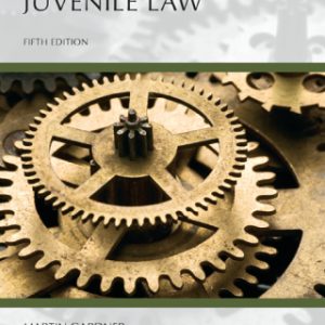 Understanding Juvenile Law 5th Edition - Original PDF