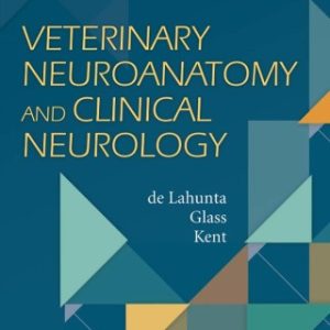 Veterinary Neuroanatomy and Clinical Neurology 4th Edition - Original PDF