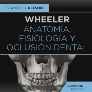 Wheeler. AnatomÃ­a, fisiologÃ­a y oclusiÃ³n dental 11th Editionn - Original PDF