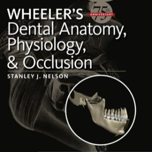 Wheeler's Dental Anatomy, Physiology and Occlusion, 10th Edition 10th Edition - Original PDF