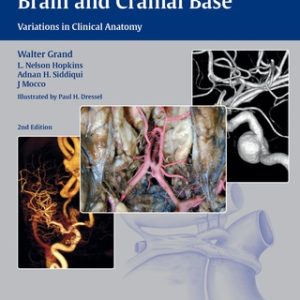 Vasculature of the Brain and Cranial Base 2nd Edition Variations in Clinical Anatomy - Original PDF