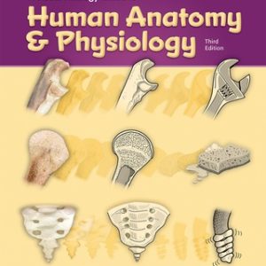 A Visual Analogy Guide to Human Anatomy & Physiology 3rd Edition - Original PDF