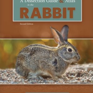 A Dissection Guide and Atlas to the Rabbit 2nd Edition - Original PDF