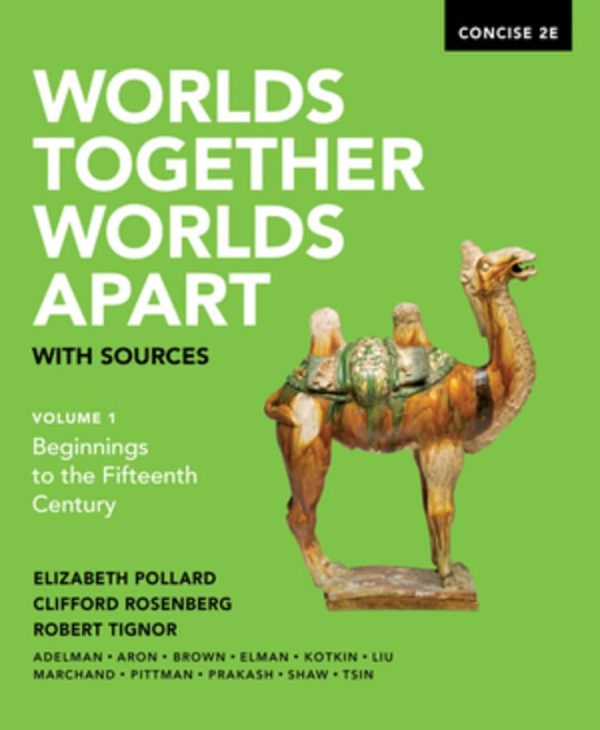 Worlds Together, Worlds Apart with Sources 2nd edition - Original PDF