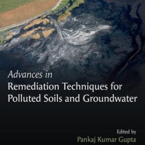 Advances in Remediation Techniques for Polluted Soils and Groundwater - Original PDF