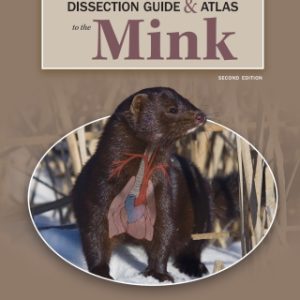 A Dissection Guide and Atlas to the Mink 2nd Edition - Original PDF